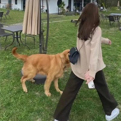抢来的人生